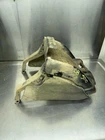 Polaris Sportsman 500 700 800 Radiator Bumper Grill Guard 1017050-067 Used. Price: $216.19.